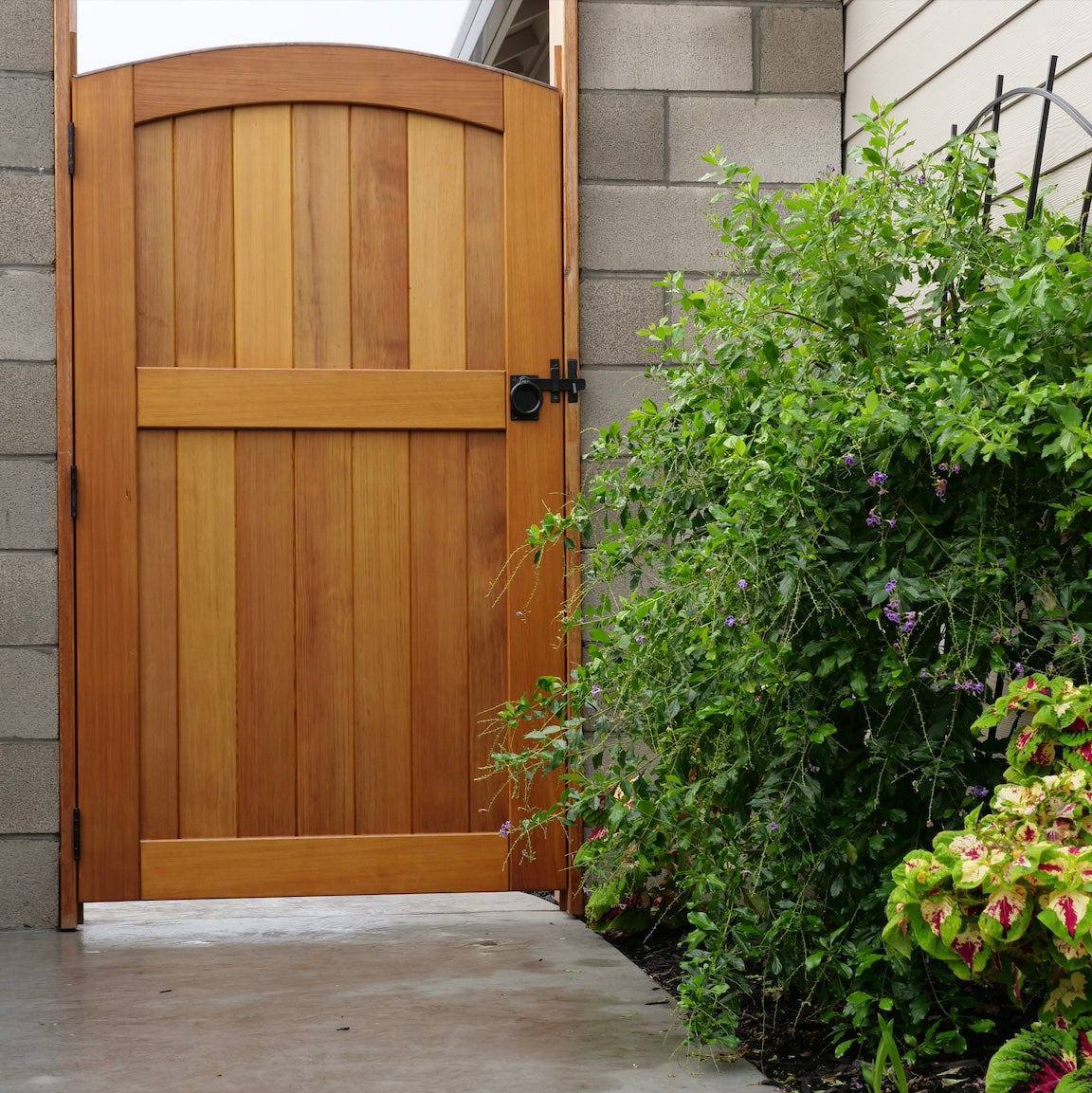 42in wide x 70in tall Signature Wood Gate (Unfinished, Hardware Not Included)